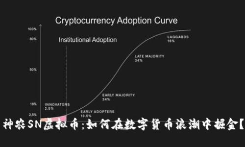 神农SN虚拟币：如何在数字货币浪潮中掘金？